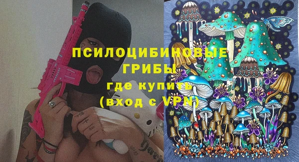 2c-b Козловка