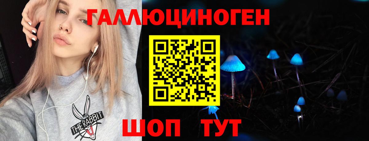 Галлюциногенные грибы Psilocybe Солнечногорск