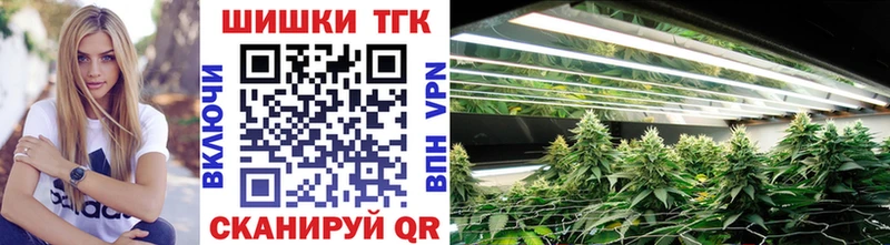 где можно купить наркотик  Солнечногорск  Бошки марихуана планчик 